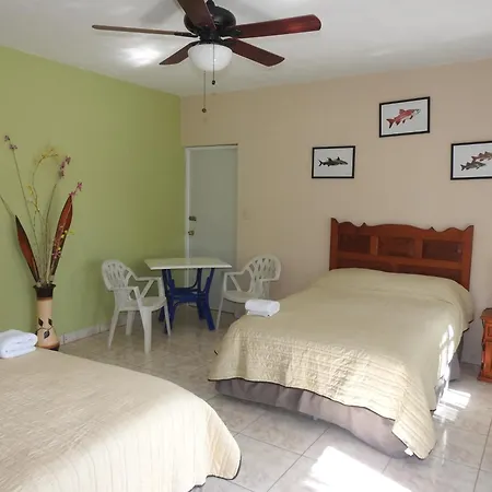 Las Palapas De Punta Allen