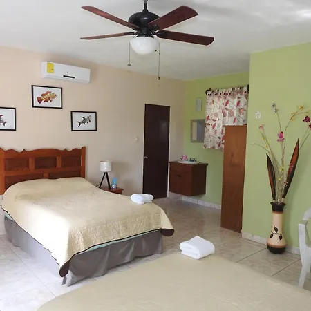 Las Palapas de Punta Allen
