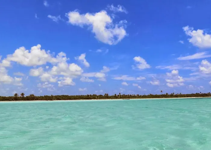 Pensión Palapas De Punta Allen