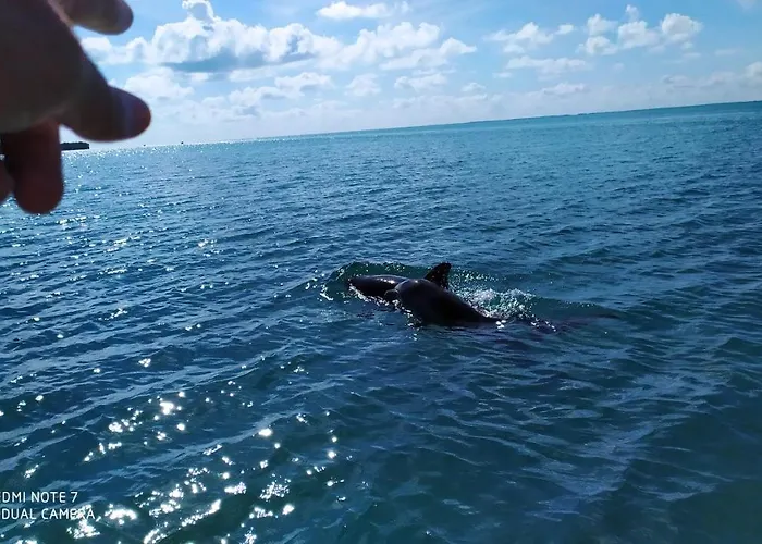 Palapas De * Punta Allen