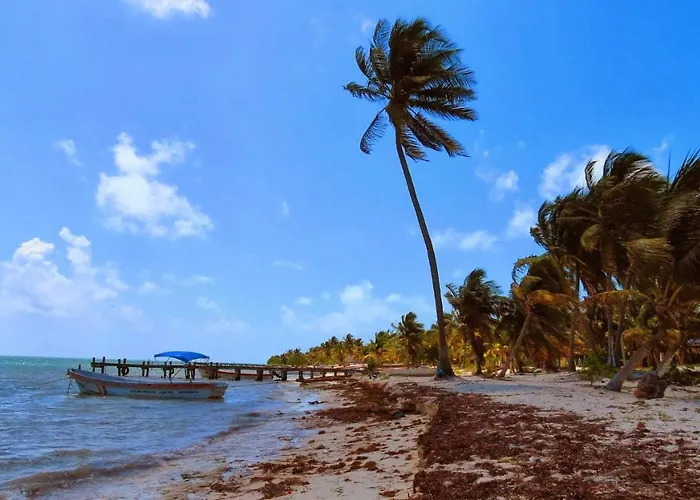 Palapas De Punta Allen