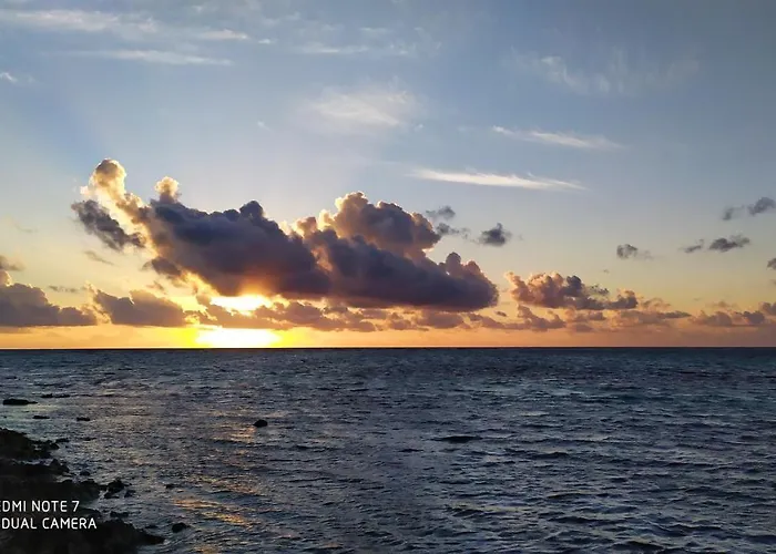 Palapas De