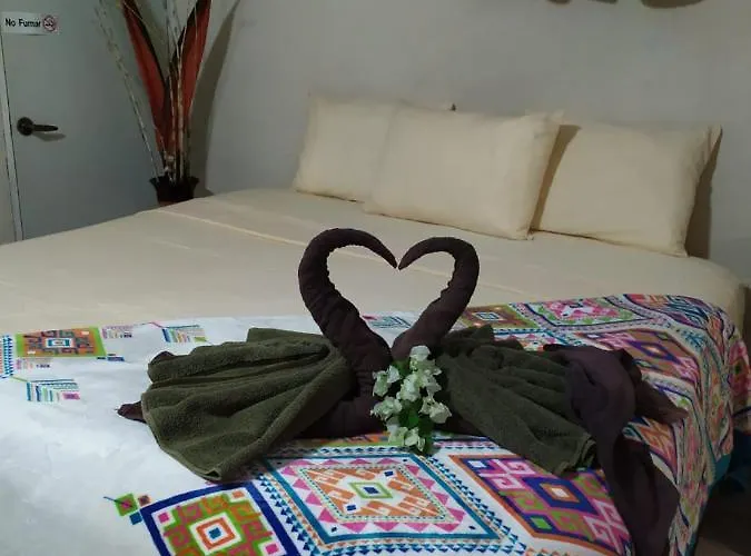 Palapas De