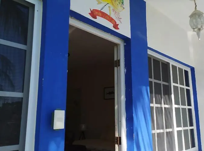 Palapas De *