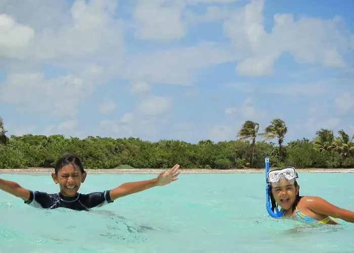 Palapas De Punta Allen