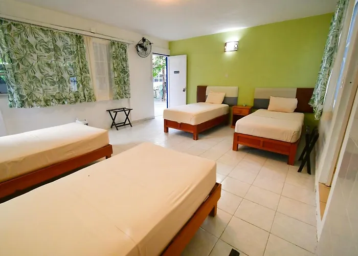 Palapas De Guest house *