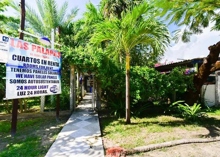 Pensión Palapas De