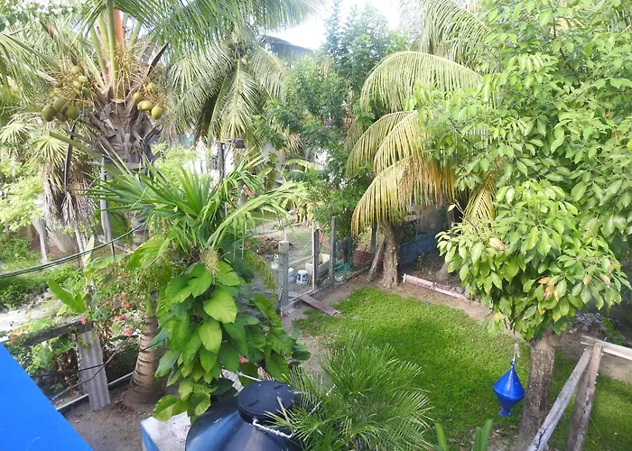 Palapas De Pensión