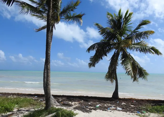 Pensión Palapas De Punta Allen