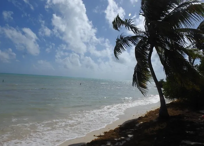 Pensión Palapas De Punta Allen