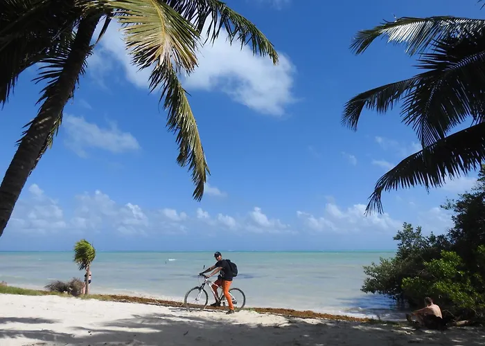 Palapas De Punta Allen