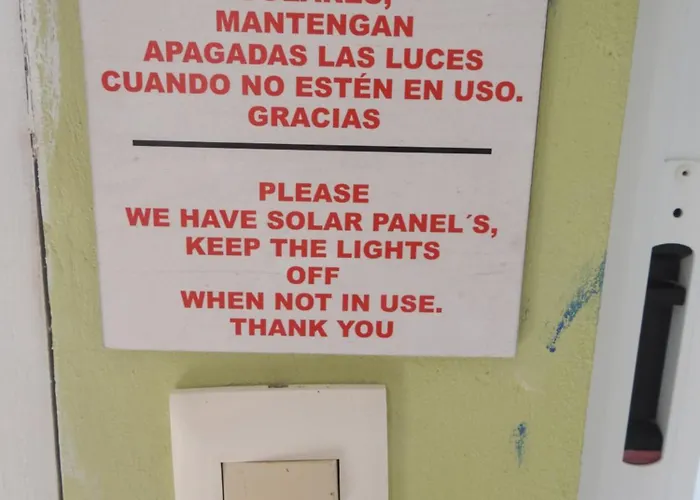 Palapas De