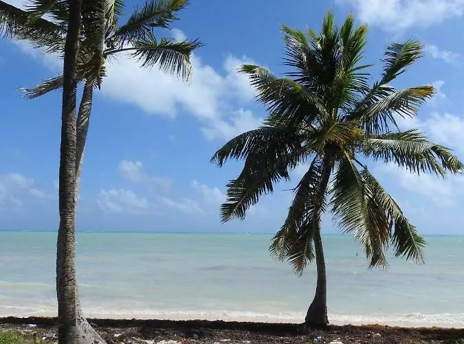 Pensión Palapas De Punta Allen
