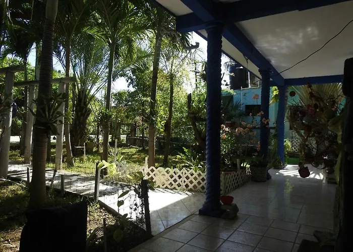 Palapas De Pensión