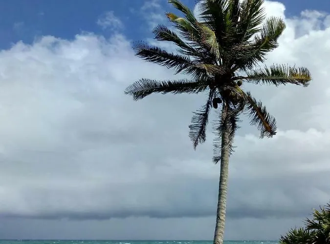 Pensión Palapas De Punta Allen